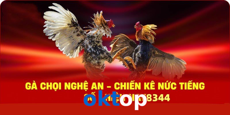 Gà Chọi Nghệ An – Chiến Kê Nức Tiếng Số 1 Hiện Nay